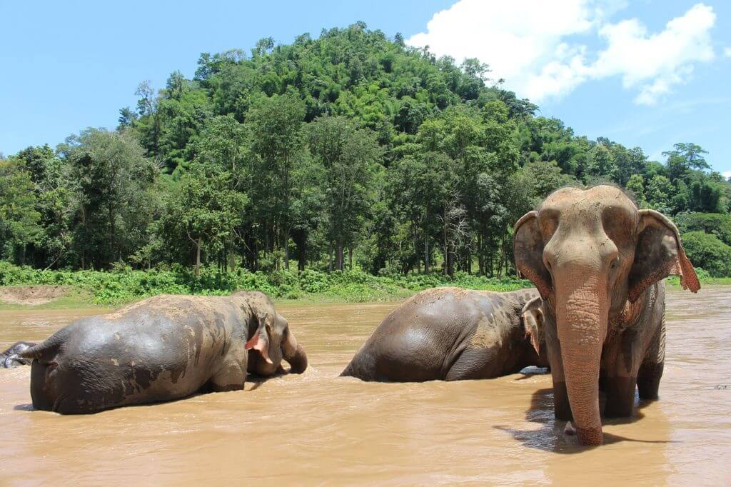 Thailand met kinderen